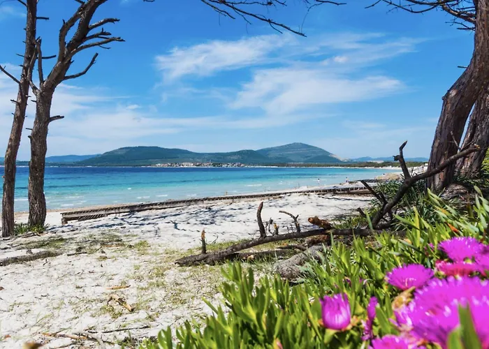 Le Dune A Few Steps From The Sandy Of Maria Pia * 阿尔盖罗